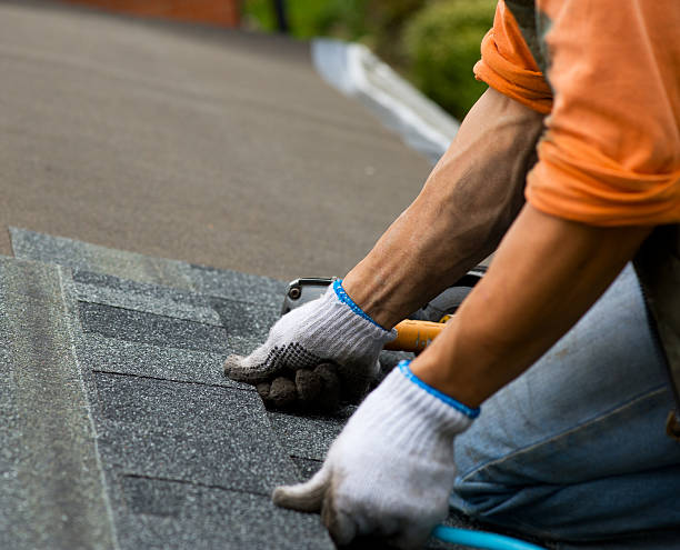 Best Roof Leak Repair  in Nedrow, NY